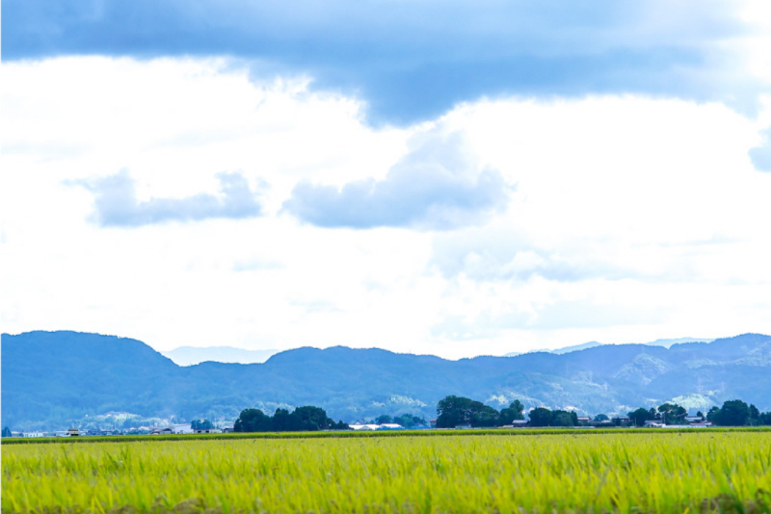 越後平野